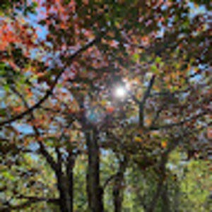 Meet your Posher, Martha